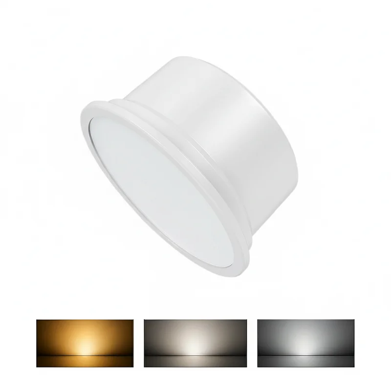 Braytron LED Modul 5W MR16 CCT Ø50mm 230V | Purplelights kaufen – BA23-00580 | lumdo.de