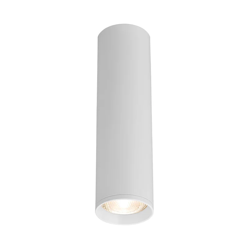 Schlanker GU10 Aufbauspot – Weiß, Aluminium, Modernes Design, IP20 kaufen – BH04-00560 | lumdo.de
