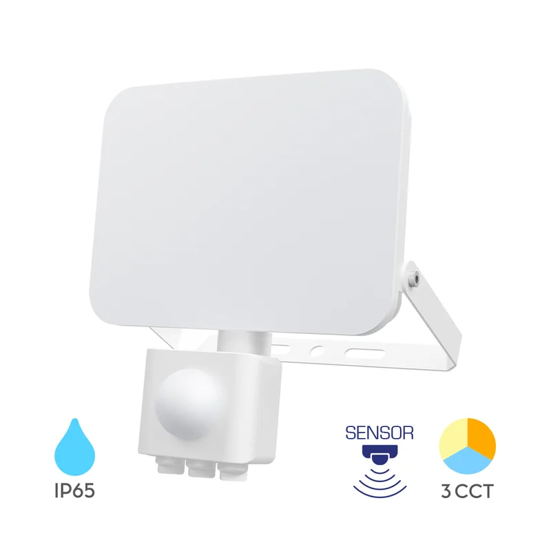 Braytron LED Außenstrahler 30W mit Bewegungsmelder IP65 2850lm 3CCT Fluter kaufen – BT60-63080 | lumdo.de